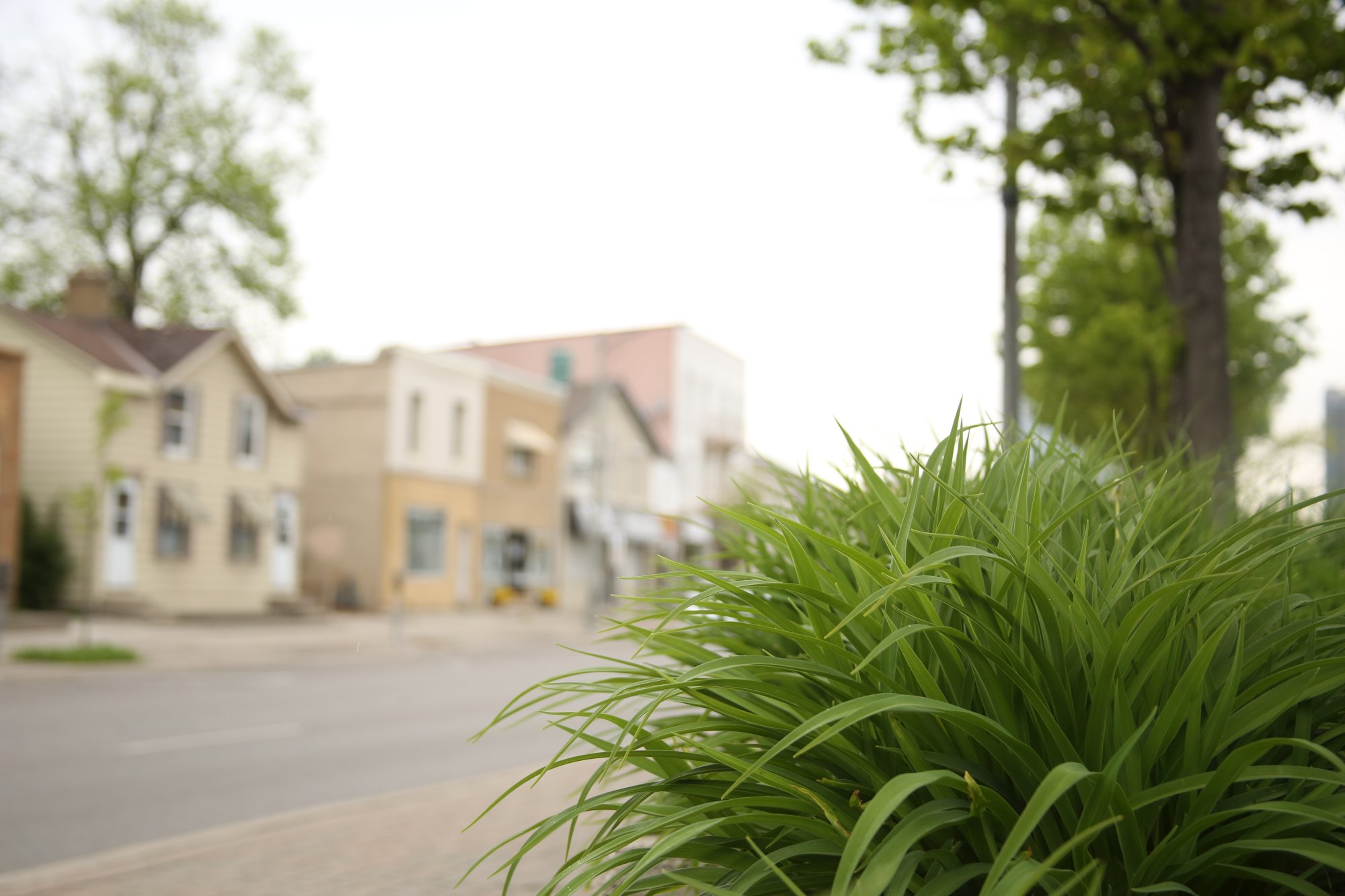 street with brick buildings